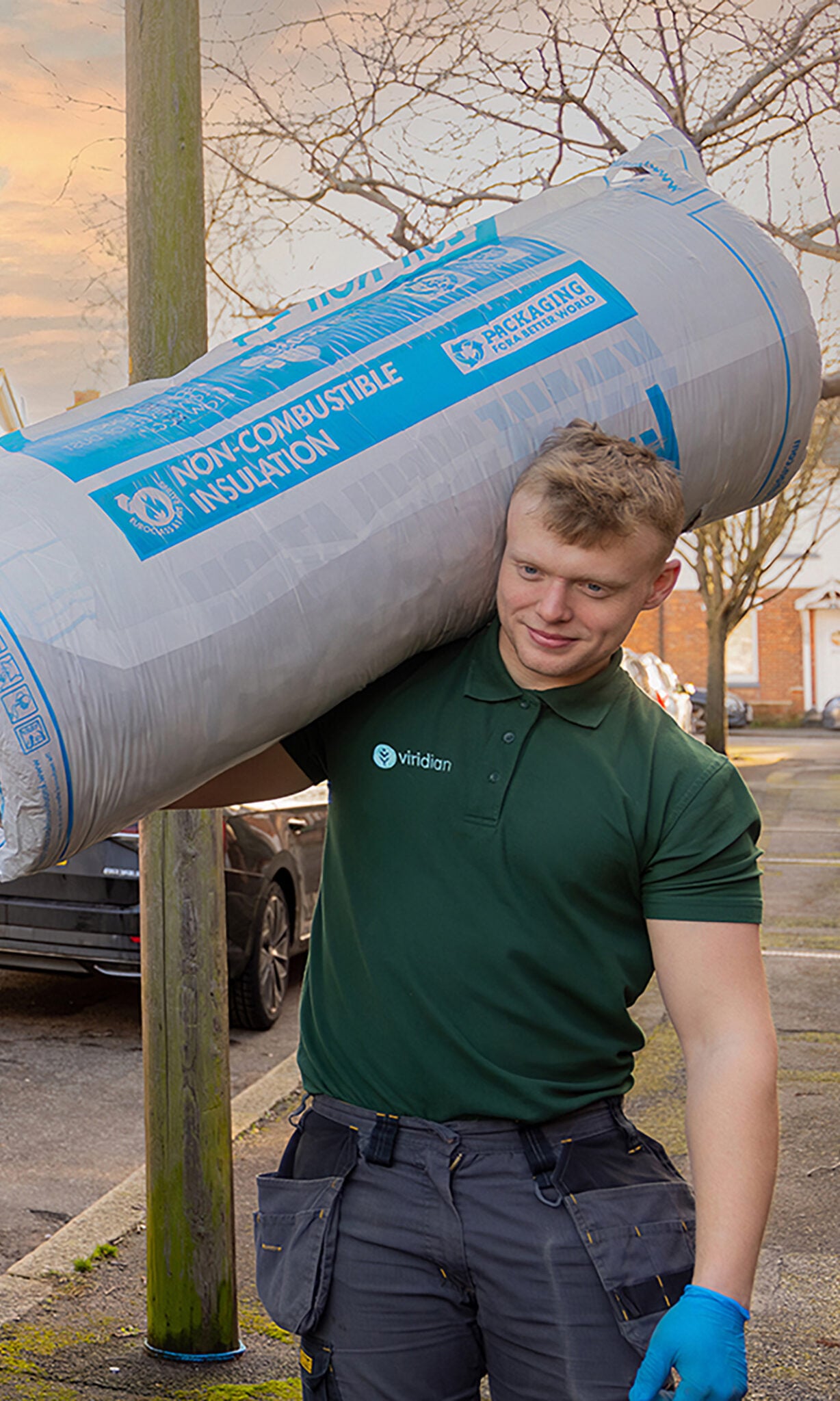 Home Insulation Specialists for the South East | Viridian