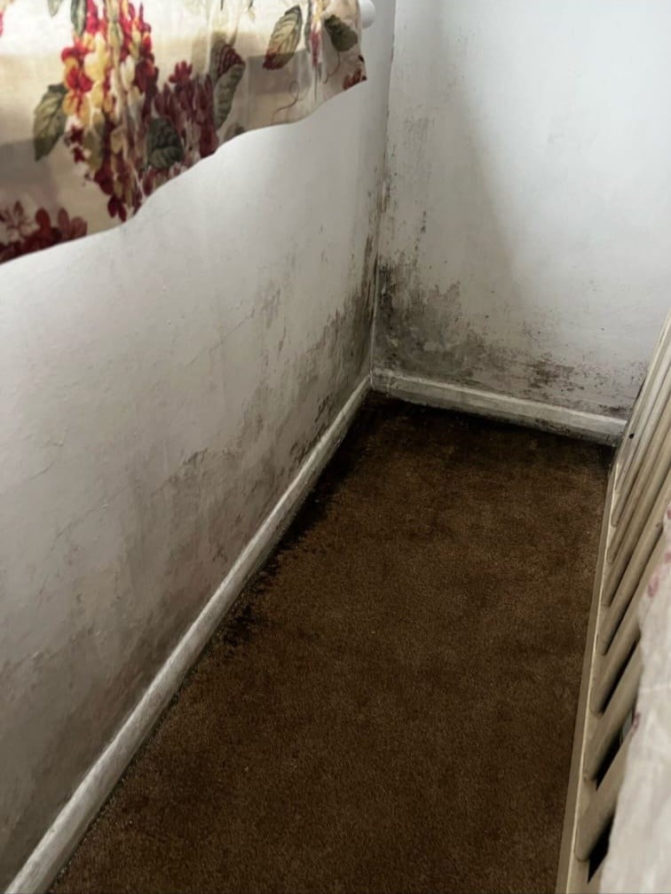 Mould on walls in property.